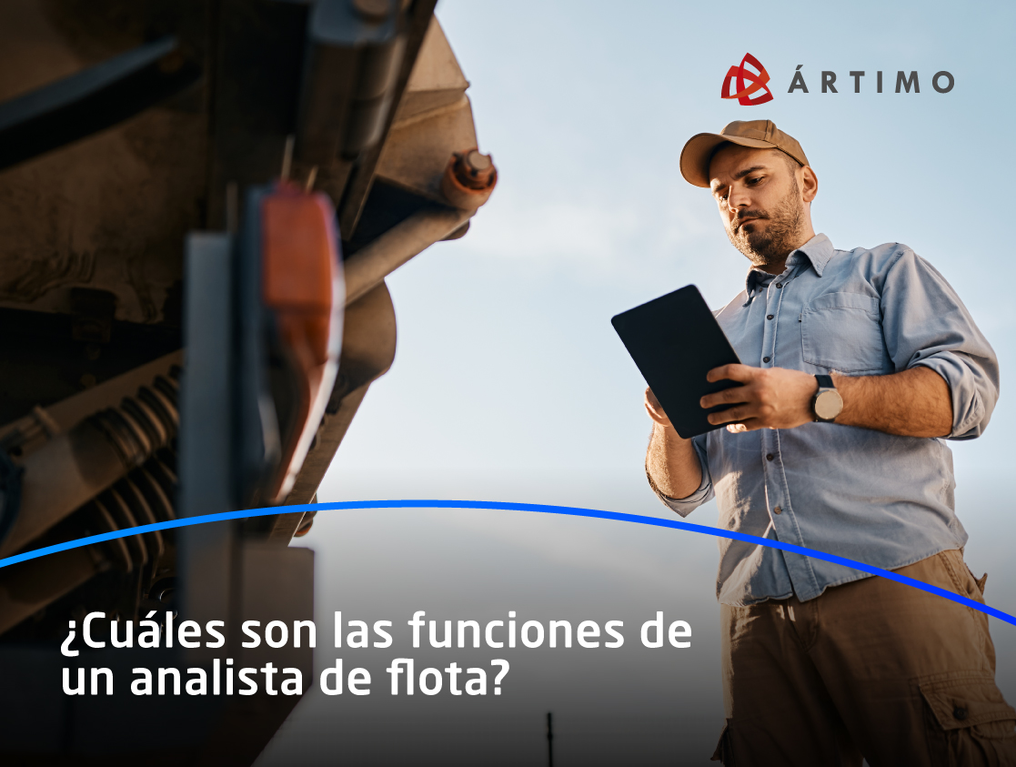 Cuales son las funciones de un analista de flota